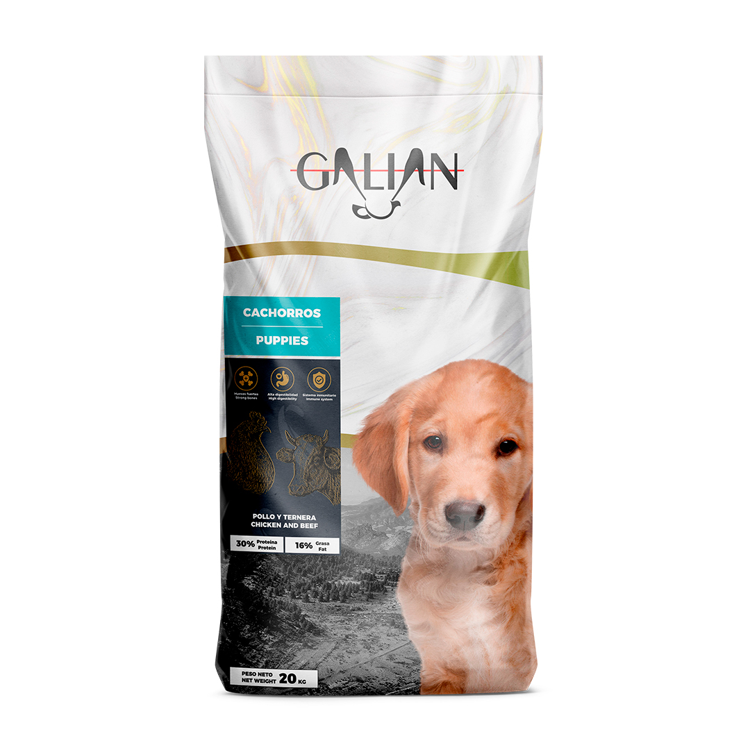 GALIAN DOGS PUPPIES 20 KG