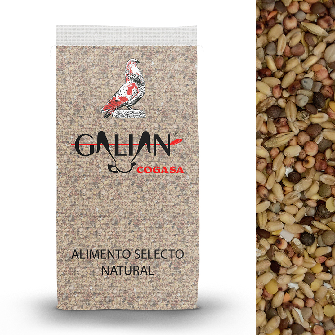 MIXTURA CRIADERO SIN MAIZ PALOMOS 20 KG