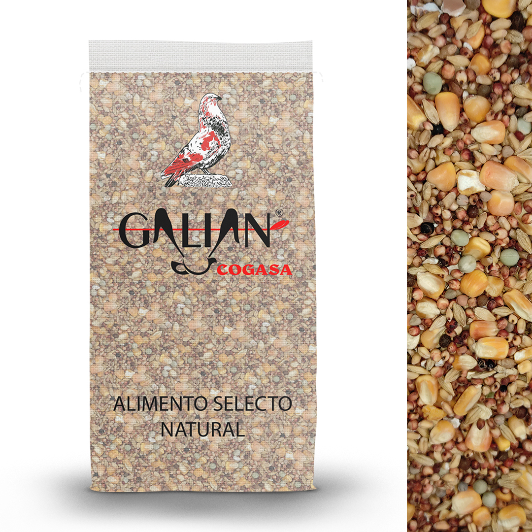 MIXTURA CRIADERO CON MAIZ PALOMOS 20 KG