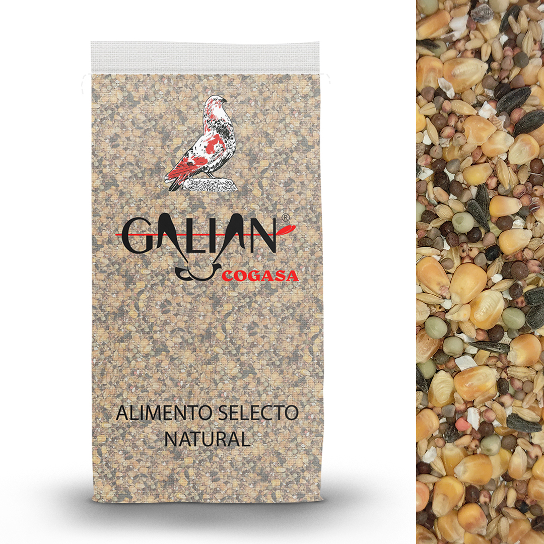 MIXTURA PALOMOS MANTENIMIENTO Nº2 20 KG