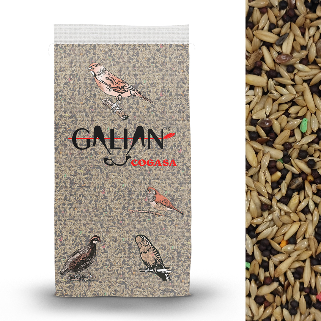MIXTURA CANARIOS CON AVENA CRIADERO 20K