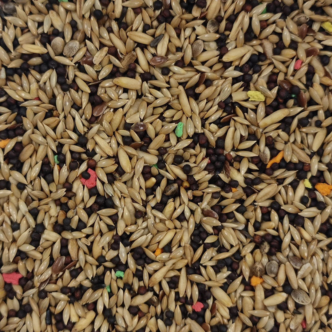 MIXTURA CANARIOS CON AVENA CRIADERO 1 KG - Imagen 2