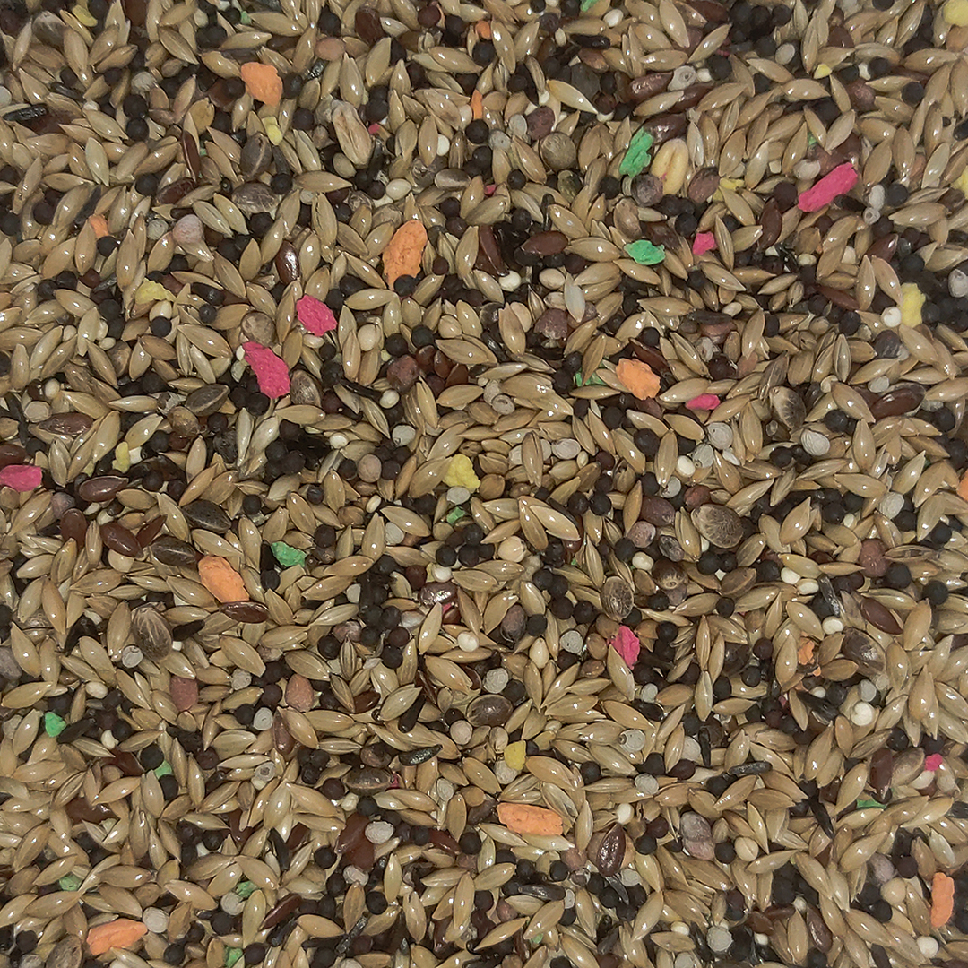 MIXTURA CANARIOS ESPECIAL 20 KG - Imagen 2