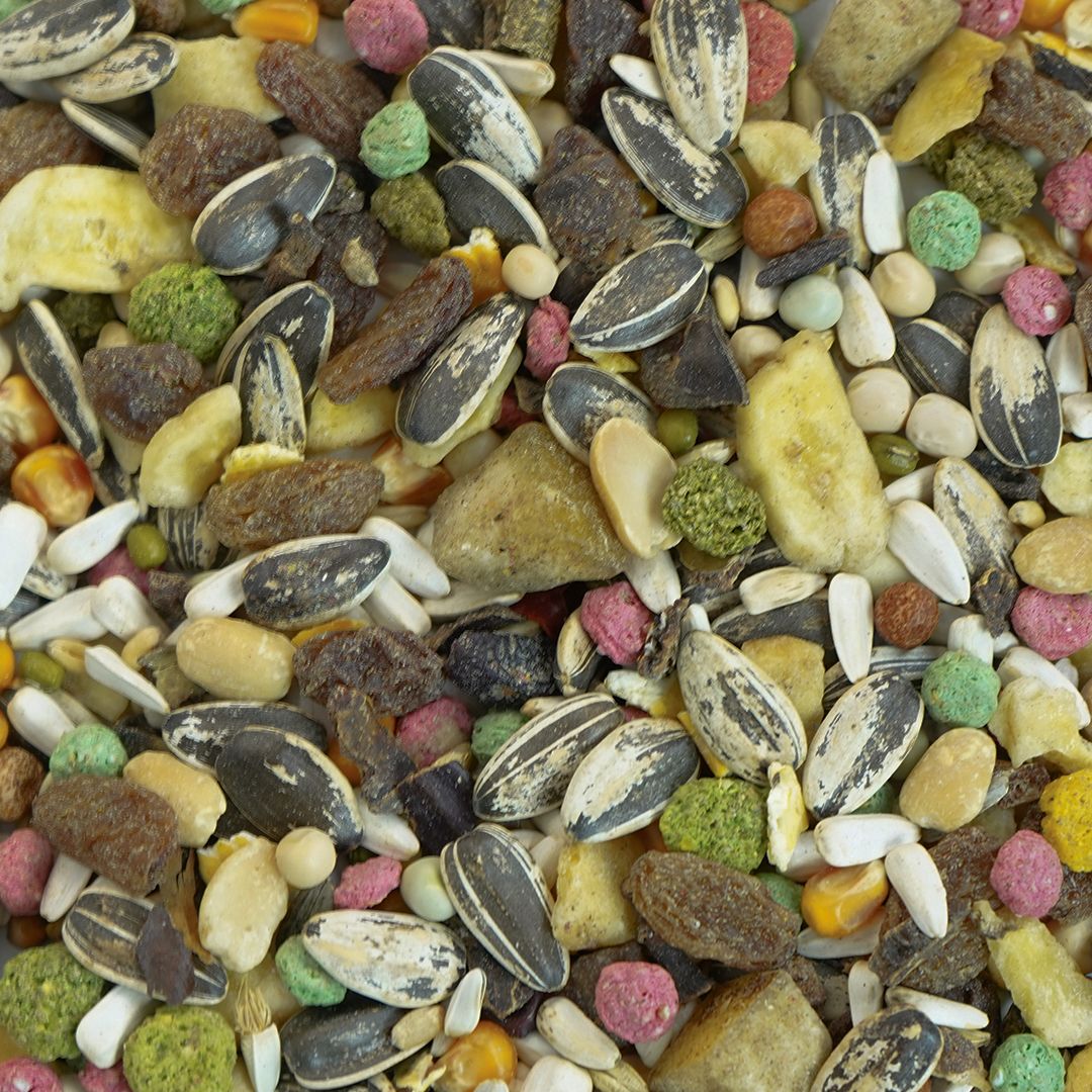 MIXTURA LOROS PROFESIO.FRUTAS BOLSA 3 KG - Imagen 2