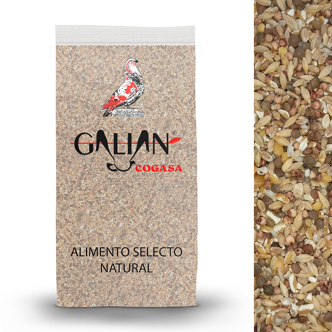 MIXTURA GALLINAS DE CORRAL 20 KG