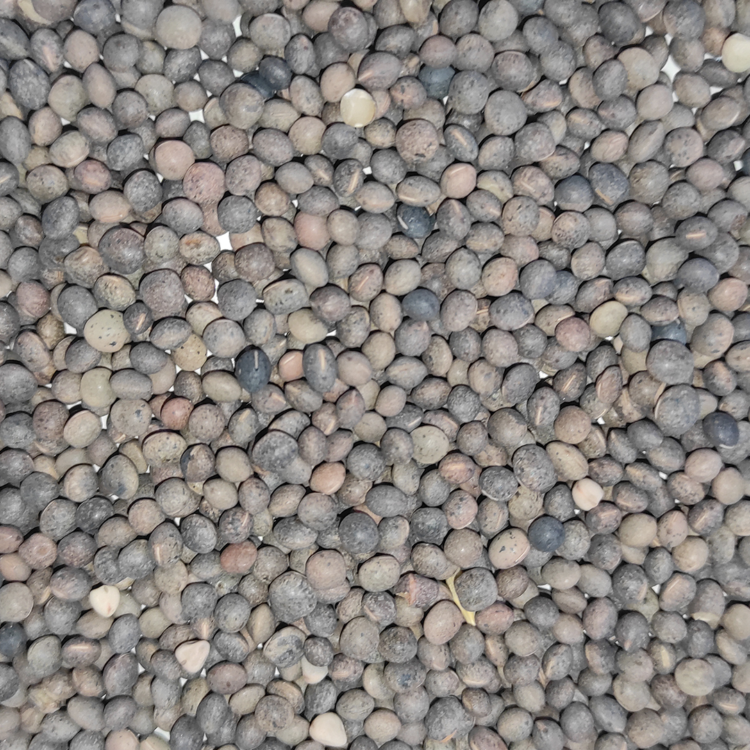VEZA  25 KG