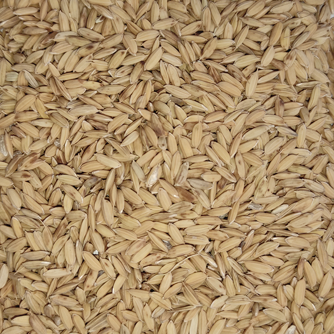 ARROZ CON CASCARA 30 KG