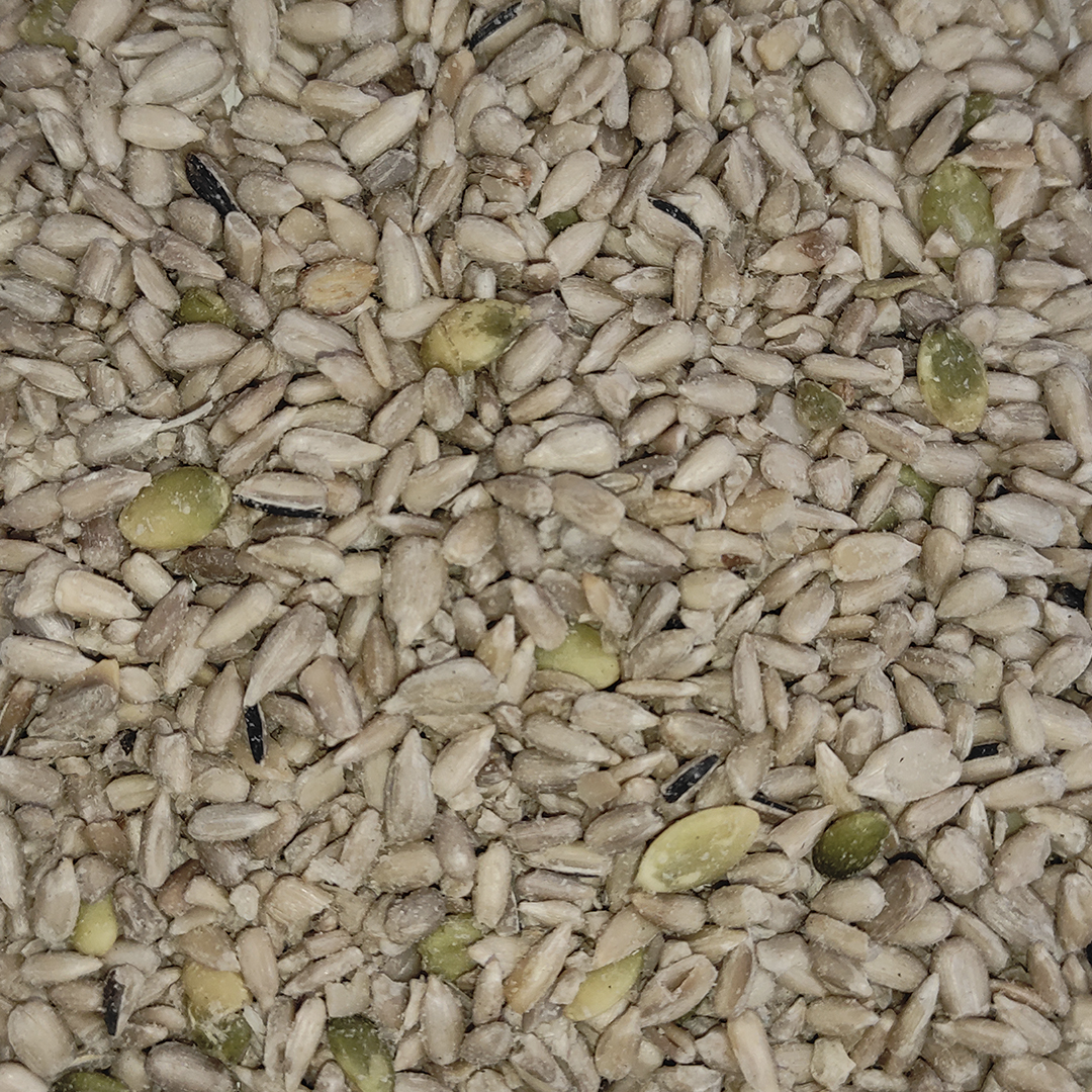 PIPA GIRASOL MONDADA PAJAROS  20 KG