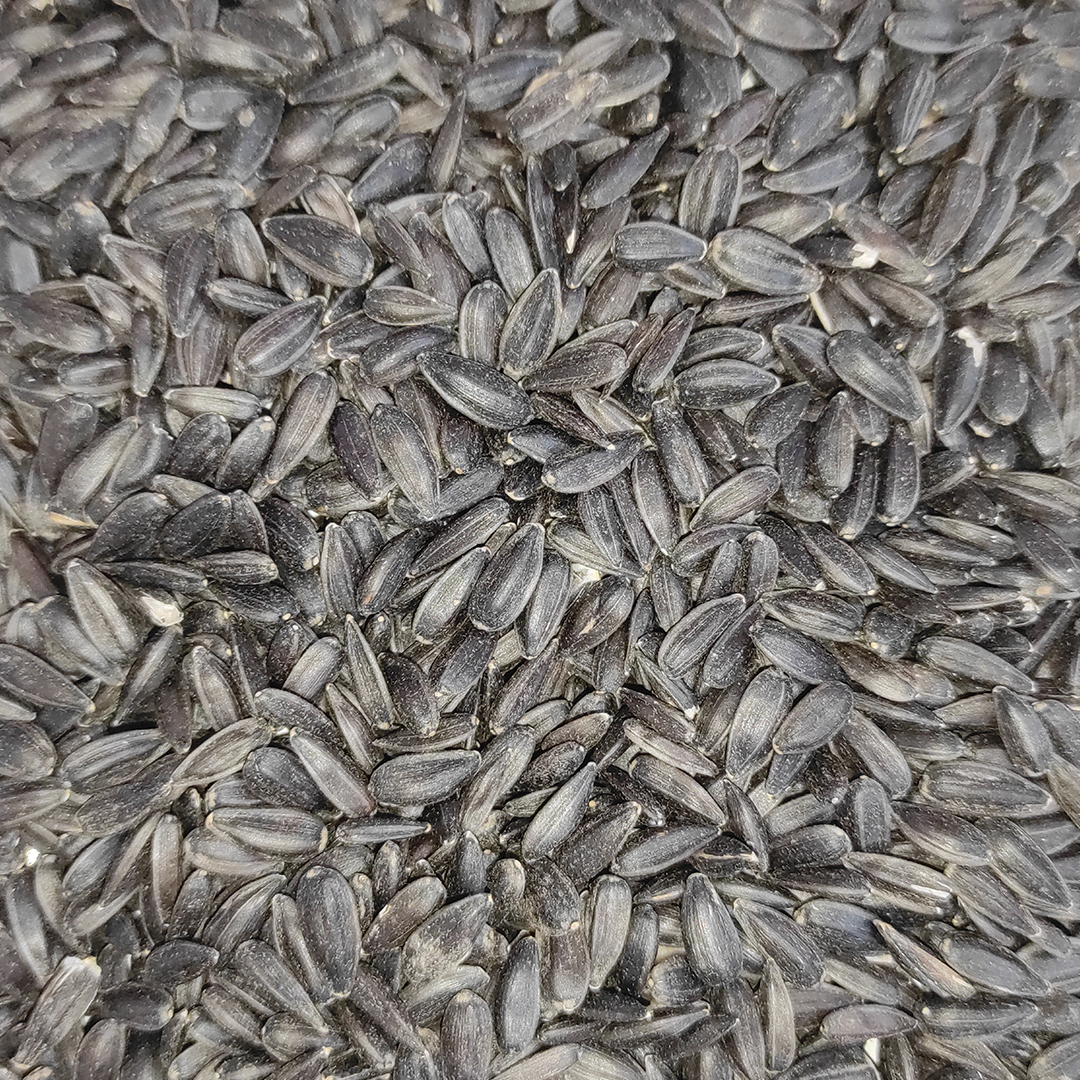 PIPA NEGRA 25 KG