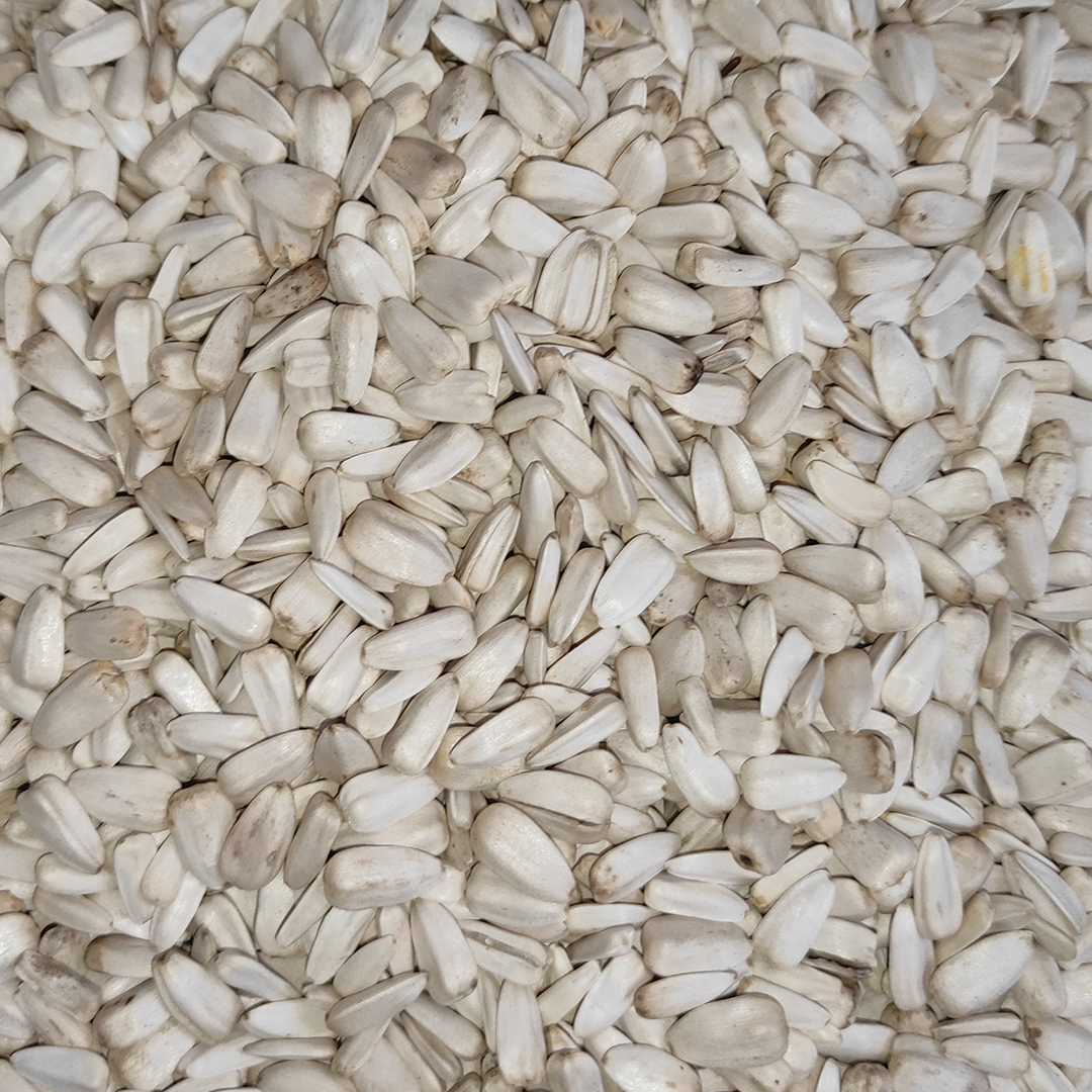 PIPA BLANCA 20 KG
