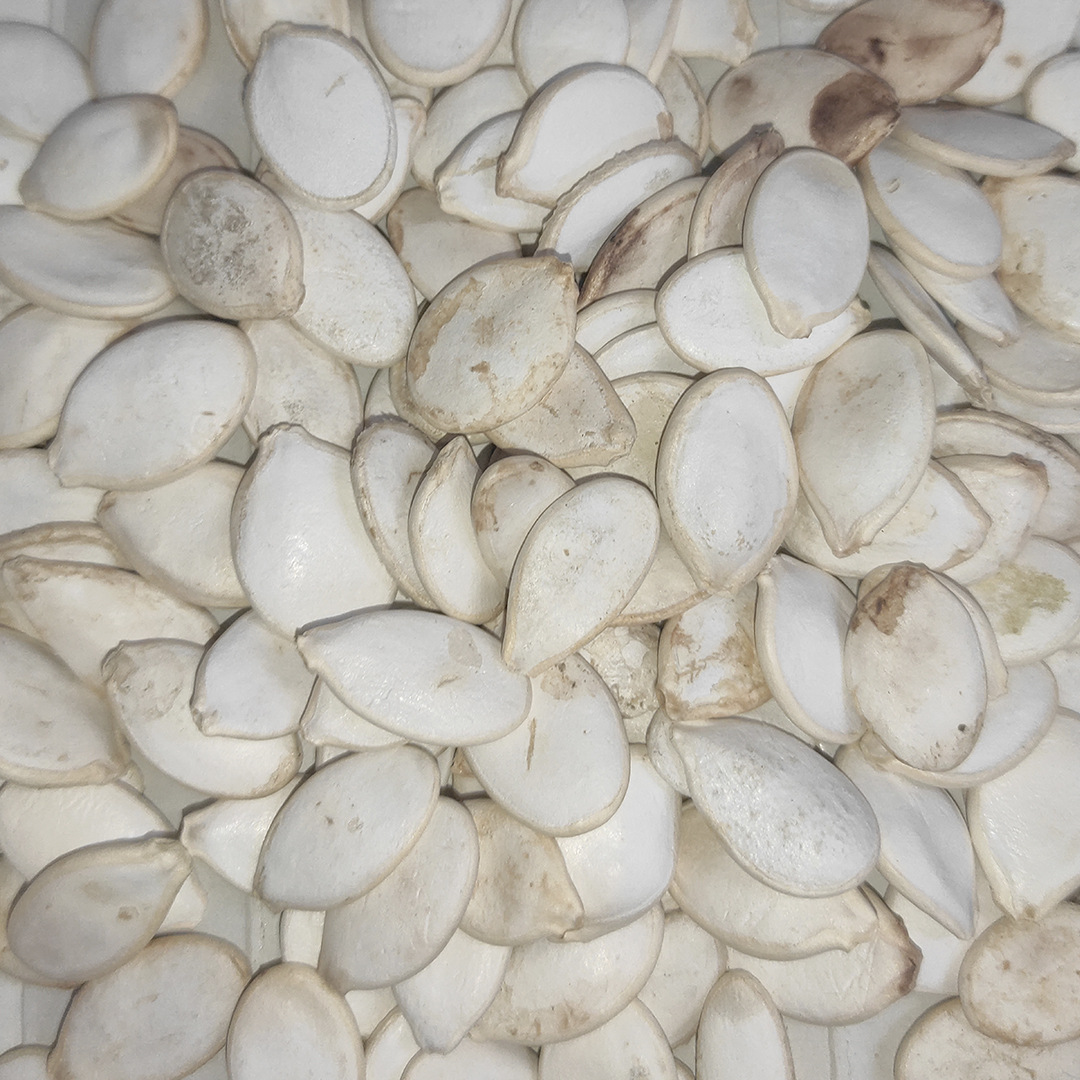 PIPA CALABAZA 25 KG