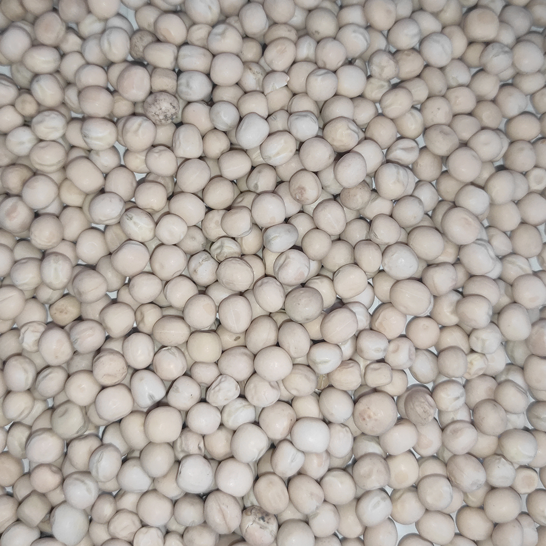 GUISANTE BLANCO 25 KG