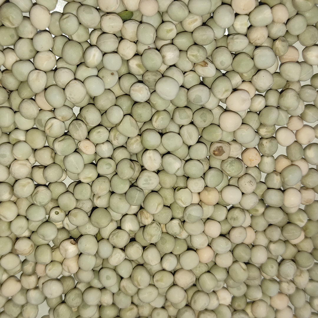 GUISANTE VERDE (GREEN) 25 KG