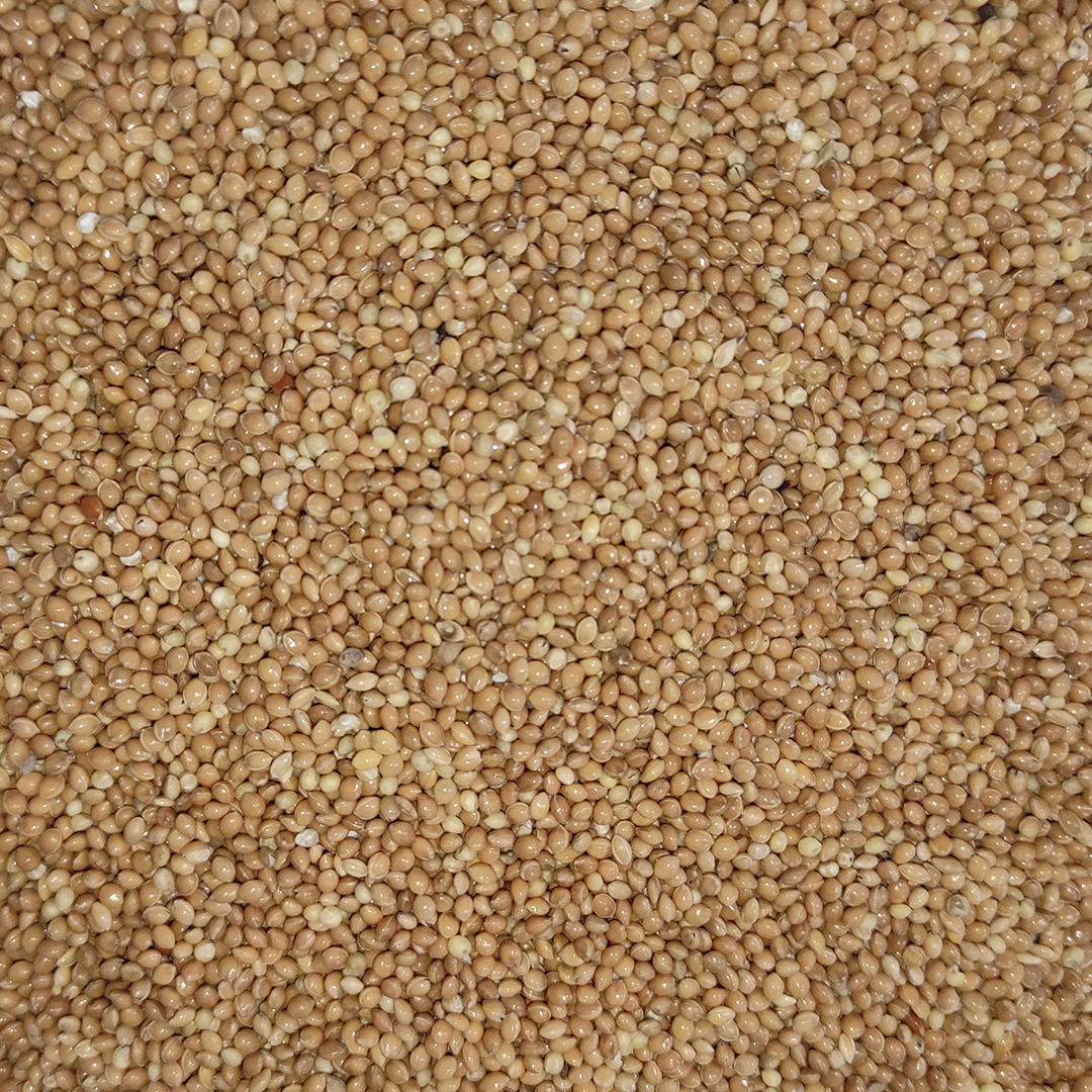 MIJO AMARILLO 25 KG