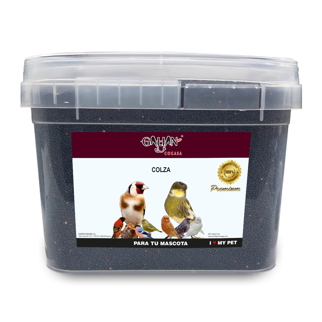 COLZA 5KG CUBO