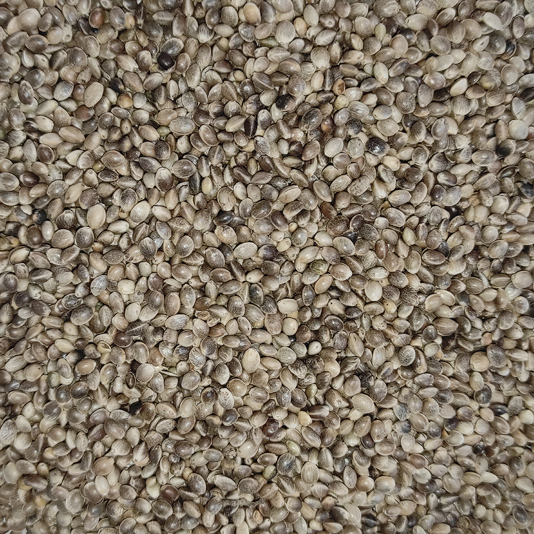 CAÑAMON PEQUEÑO 20 KG