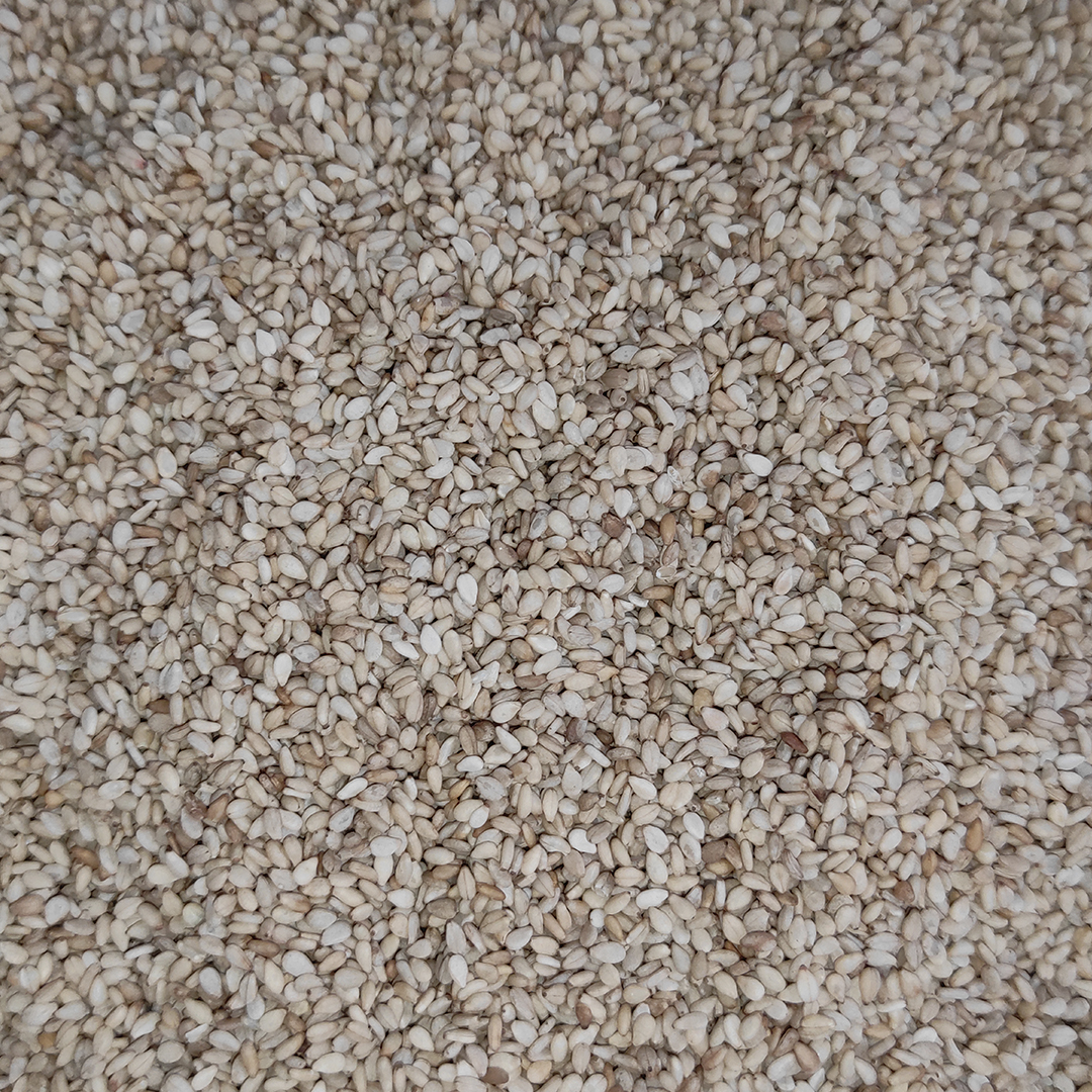 SESAMO (25KG)