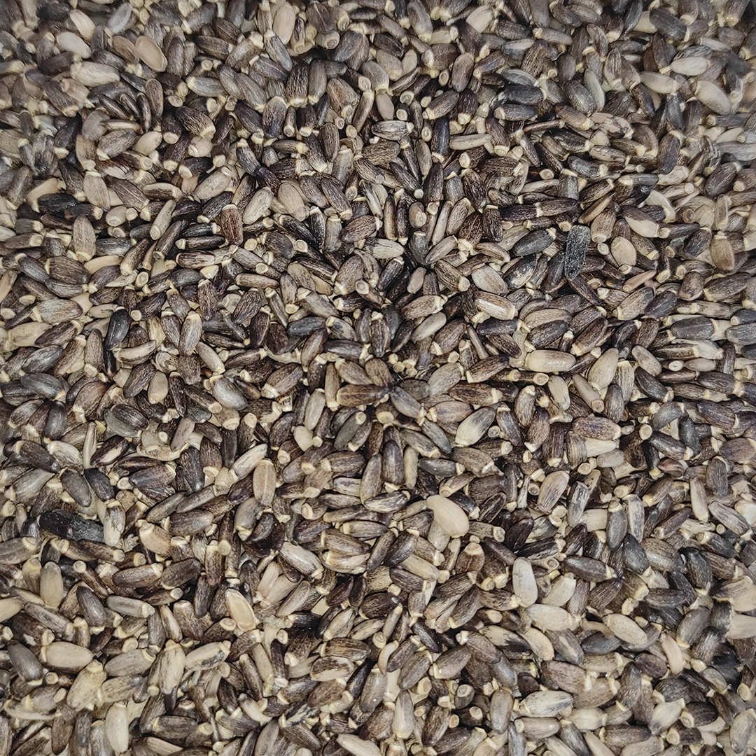 CARDON MARIA 20 KG