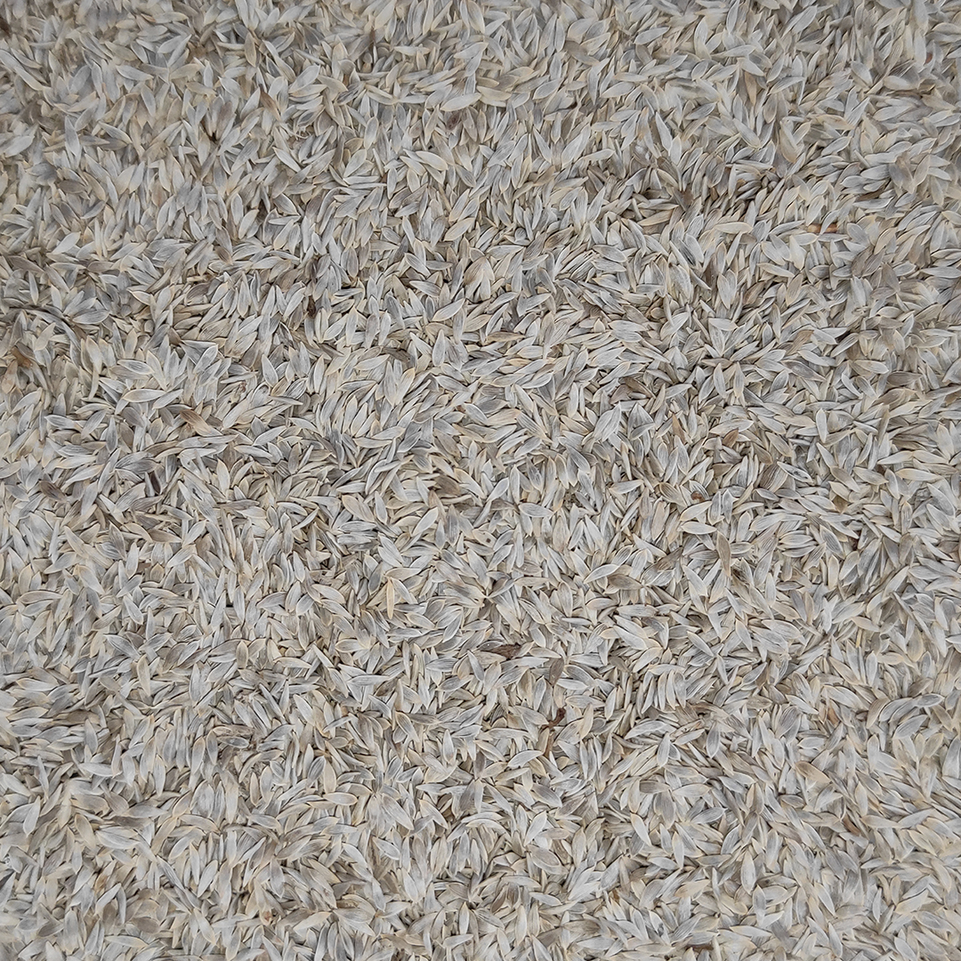 LECHUGA BLANCA 25 KG