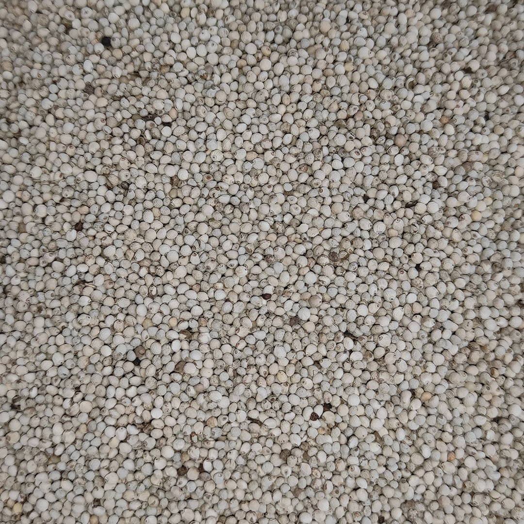 PERILLA BLANCA 25 KGS