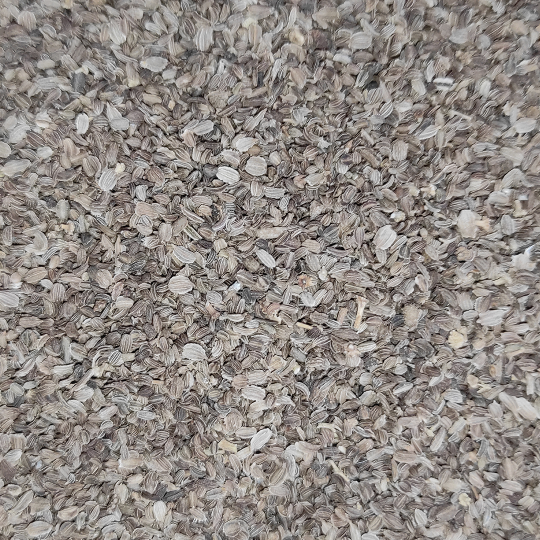 SEMILLA DE ZANAHORIA 25 KG