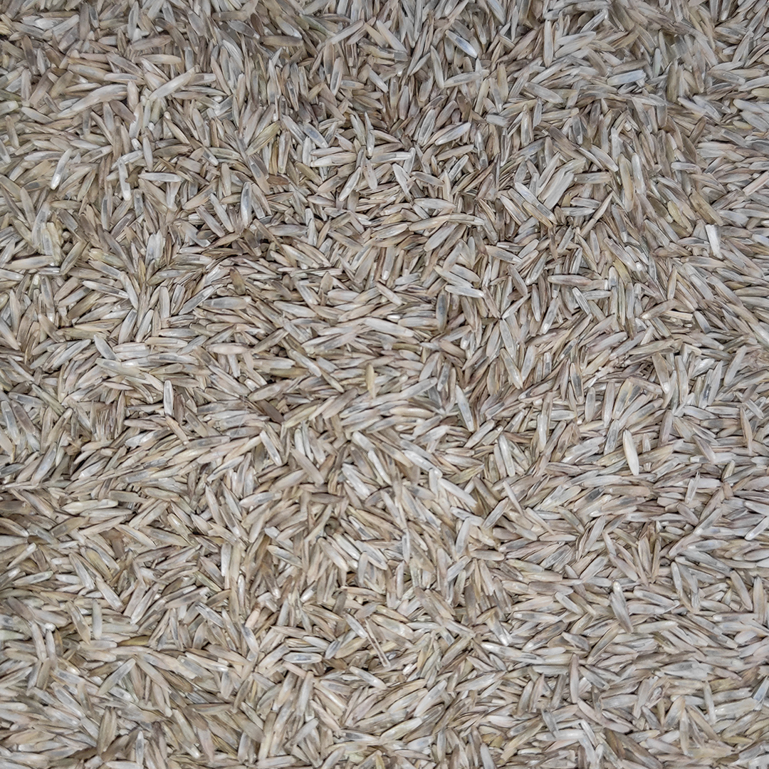 GRASS PAJAROS 20 KG