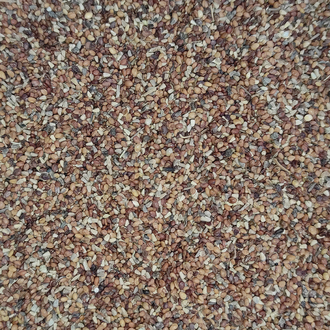 SEMILLA DE TREBOL 25 KG