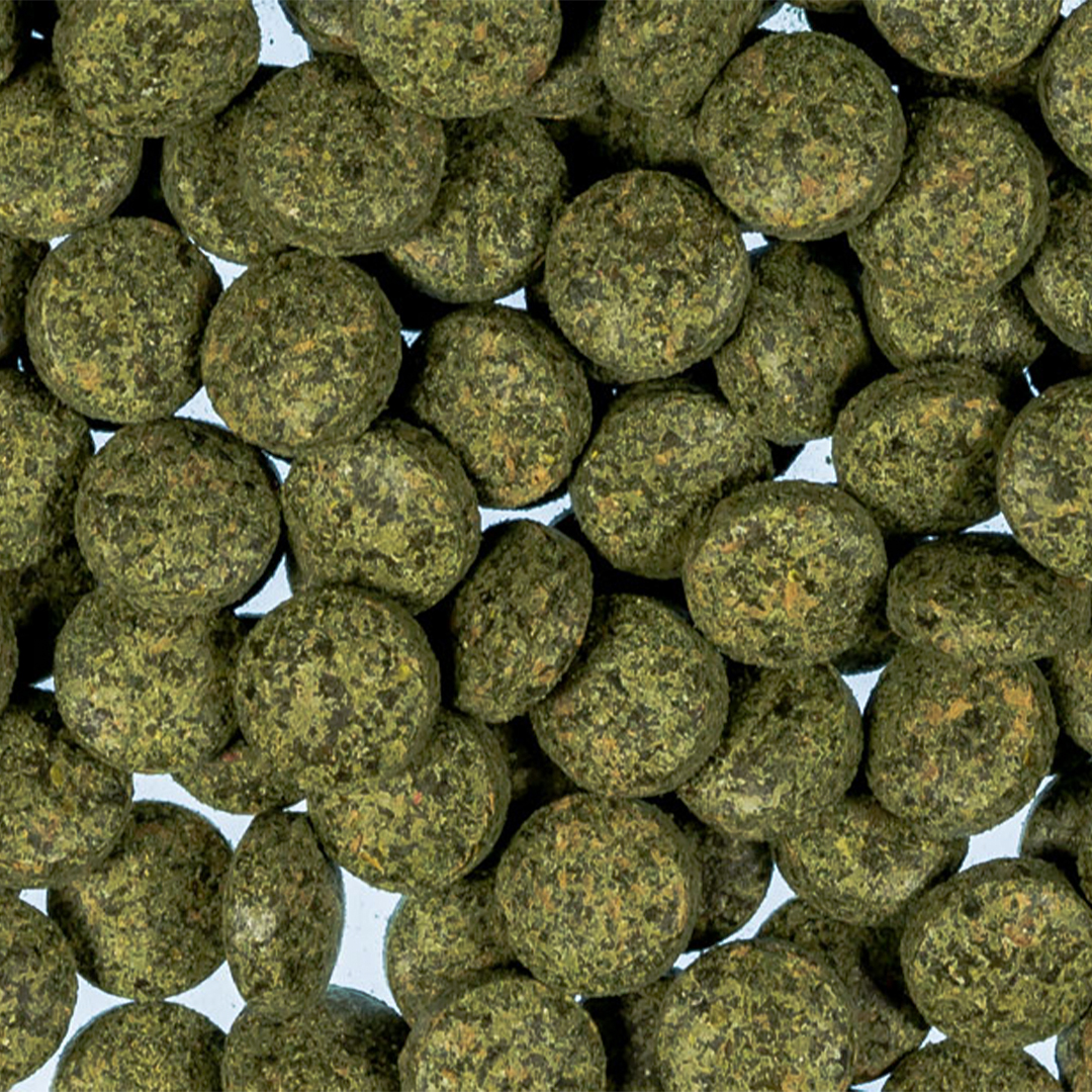 Acualian Espirulina pastillas para peces ornamentales