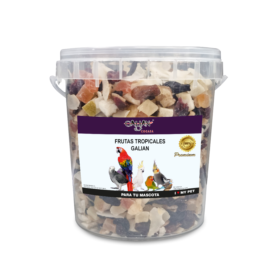 FRUTAS TROPICALES GALIAN 700 GR CUBO