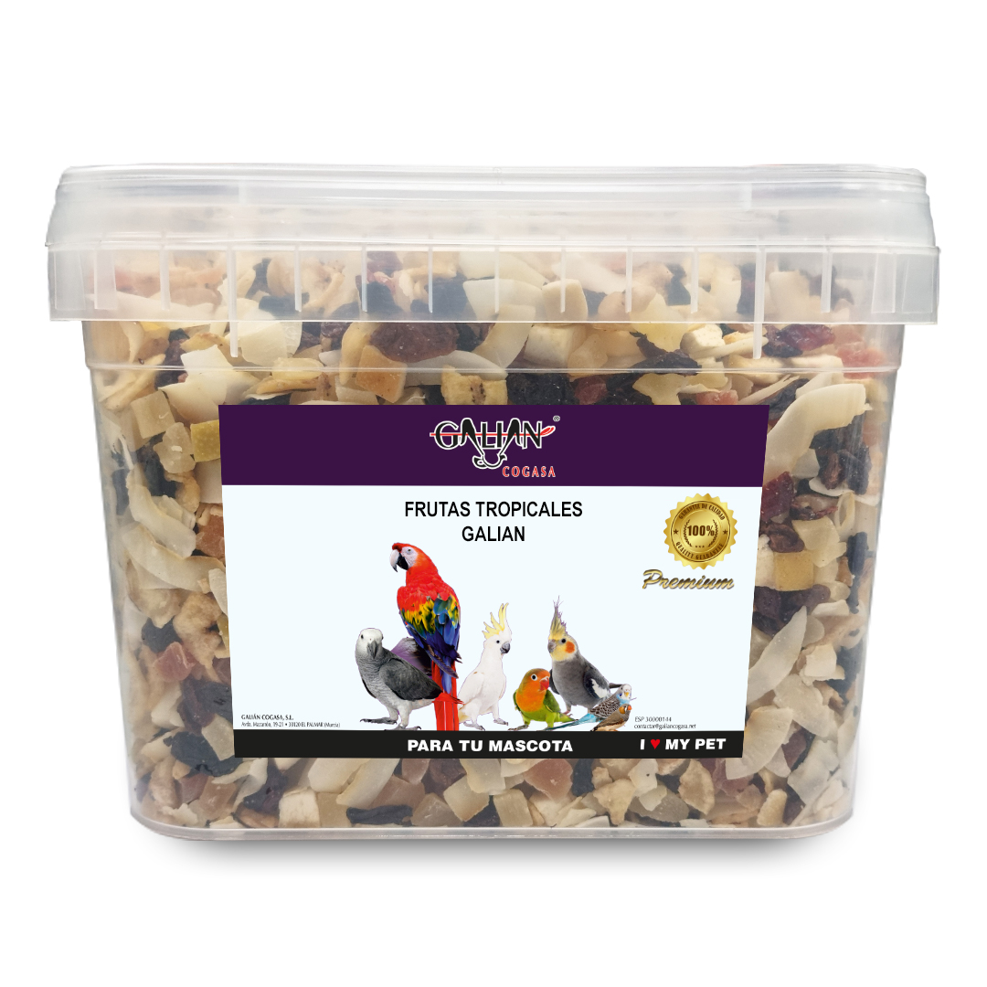 FRUTAS TROPICALES GALIAN 5 KG CUBO