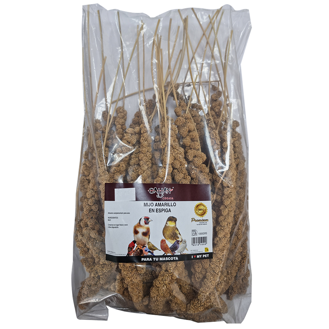 MIJO AMARILLO EN ESPIGA BOLSA 1 KG