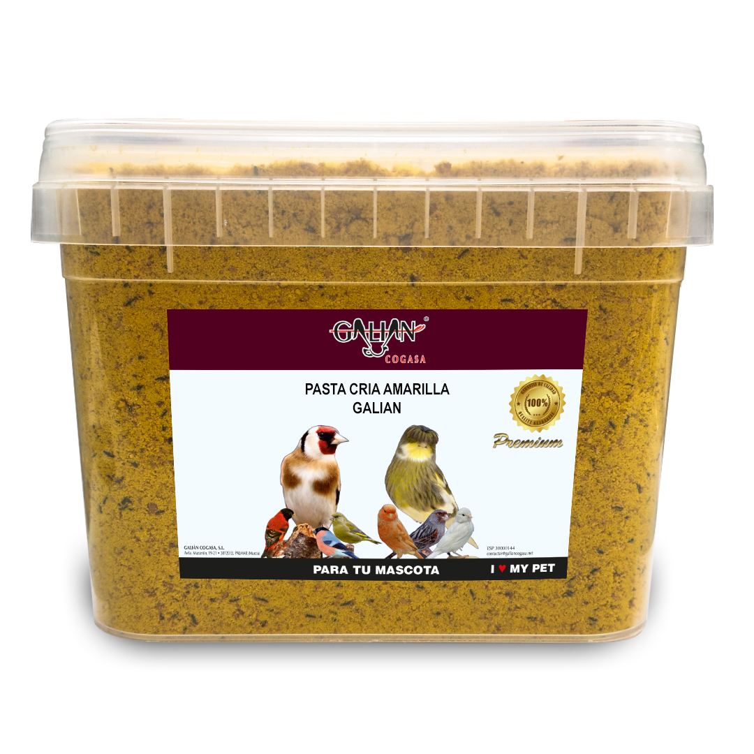 PASTA DE CRIA AMARILLA GALIAN 5Kg CUBO