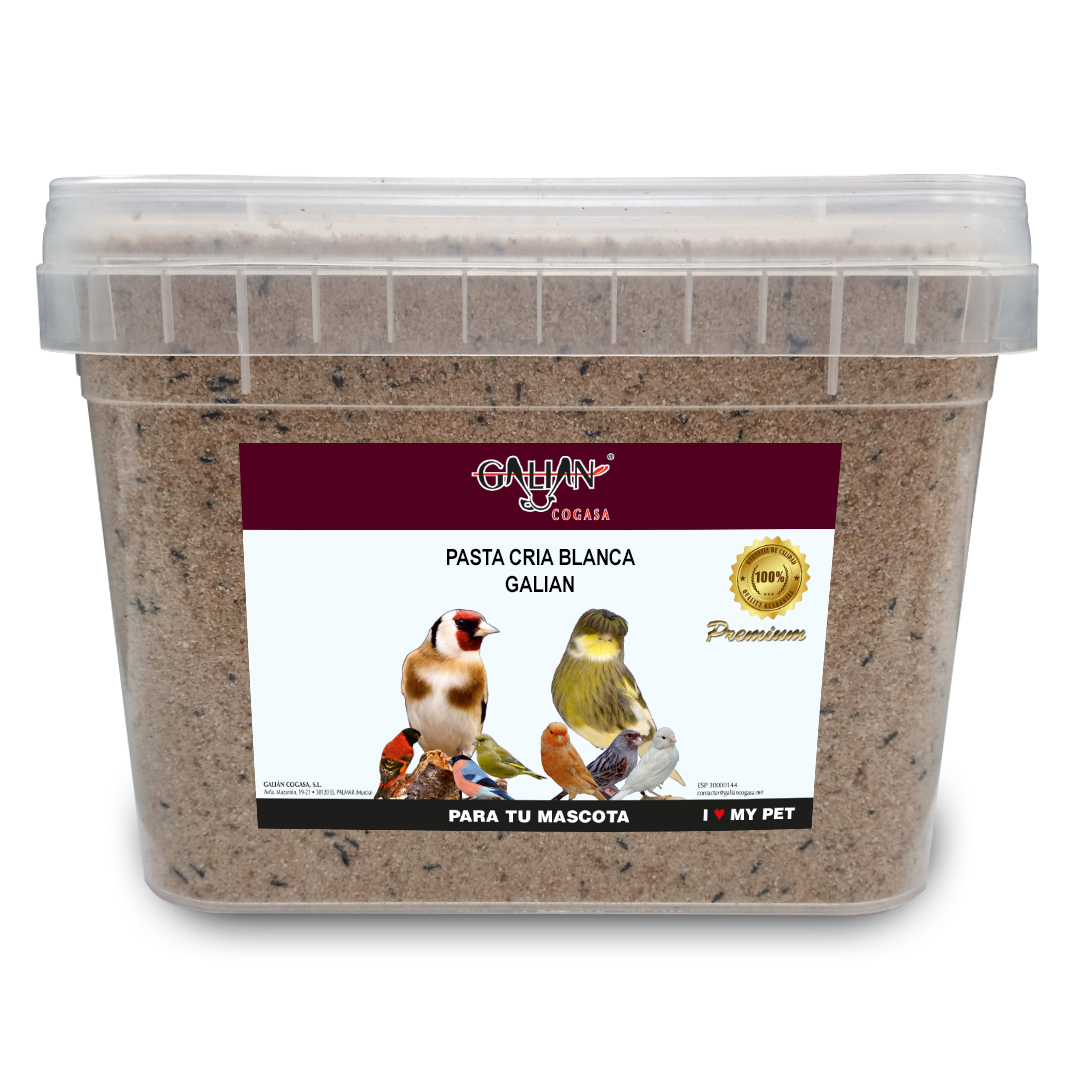 PASTA DE CRIA BLANCA GALIAN 5Kg CUBO