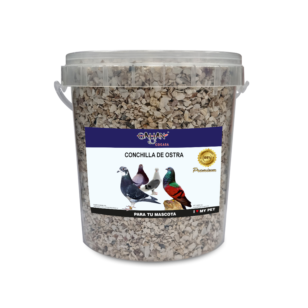 CONCHILLA DE OSTRA 1,6 kG CUBO