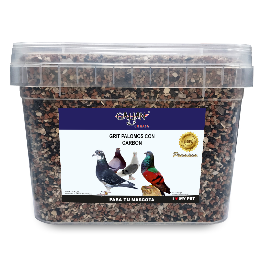 GRIT PALOMOS GALIAN CON CARBON 10 K CUBO