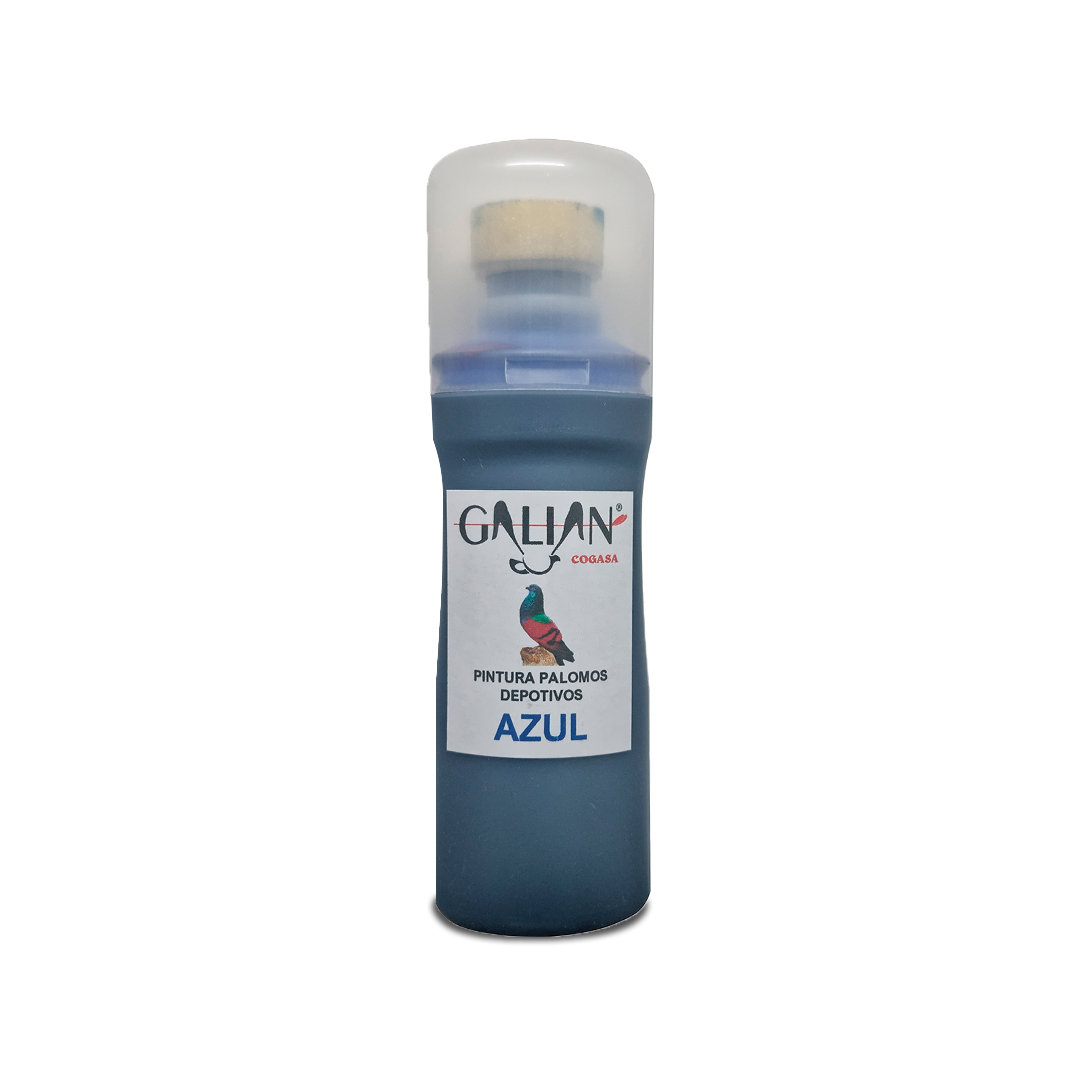 PINTURA PALOMOS AZUL PINTA FACIL GALIAN