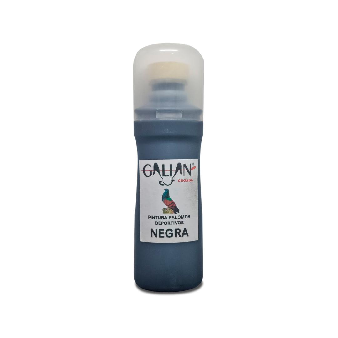 PINTURA PALOMOS NEGRA PINTA FACIL GALIAN
