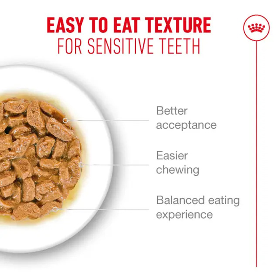 ROYAL CANIN SOBRE AGEING +12 85GR - Imagen 3
