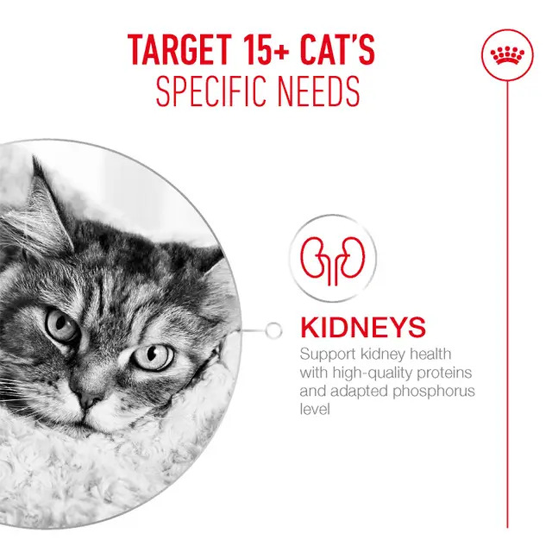 ROYAL CANIN SOBRE AGEING +12 85GR - Imagen 4
