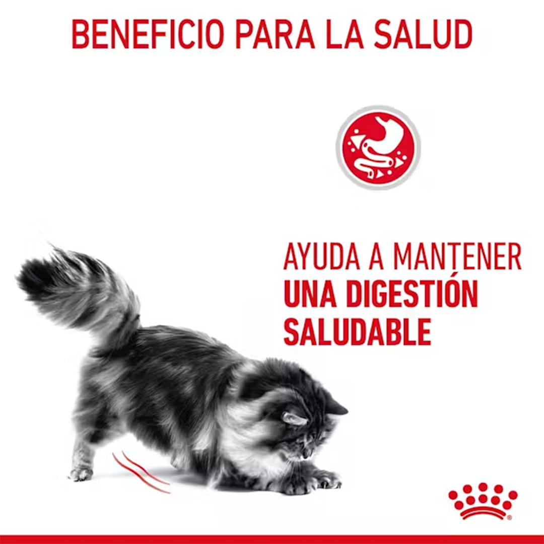 ROYAL CANIN SOBRE DIGEST SENSITIVE C 85G - Imagen 5
