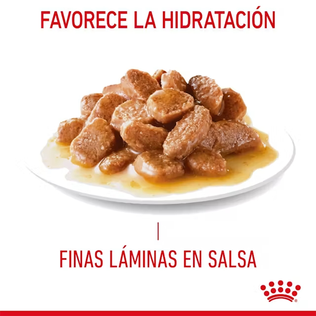 ROYAL CANIN SOBRE DIGEST SENSITIVE C 85G - Imagen 3