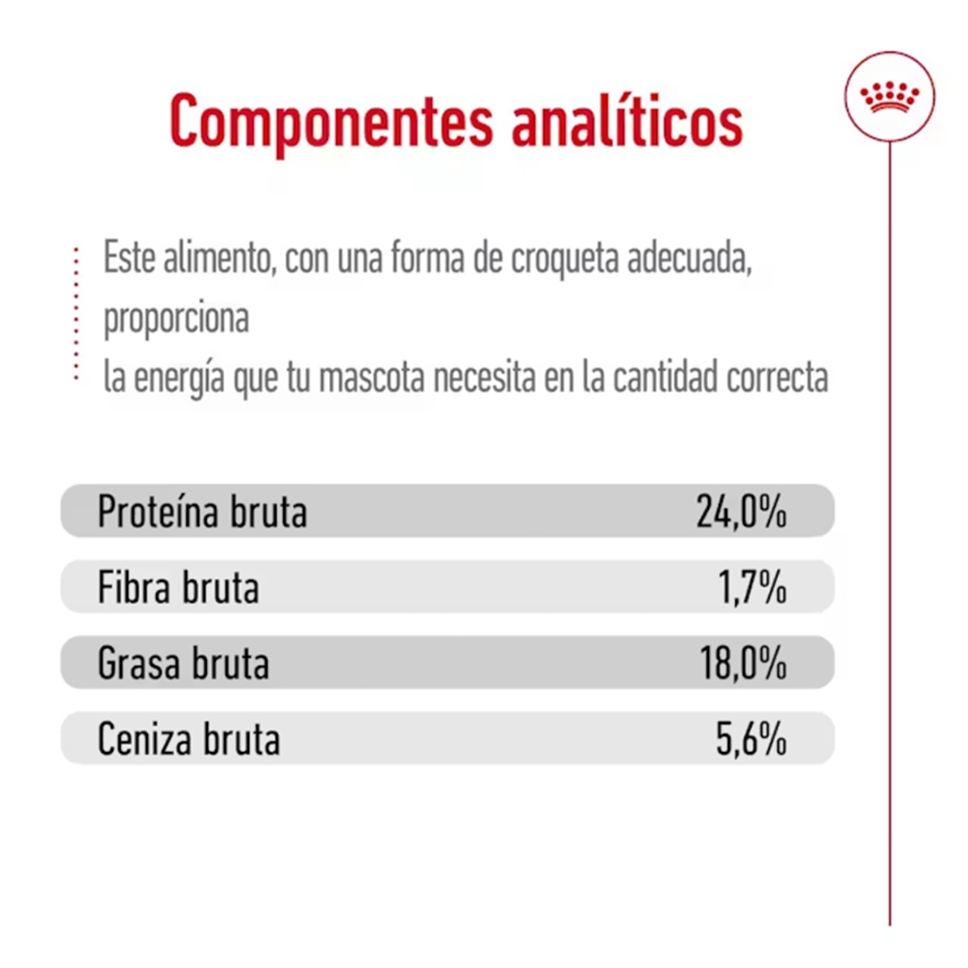 ROYAL CANIN X-SMALL ADULT 1,5KG - Imagen 8