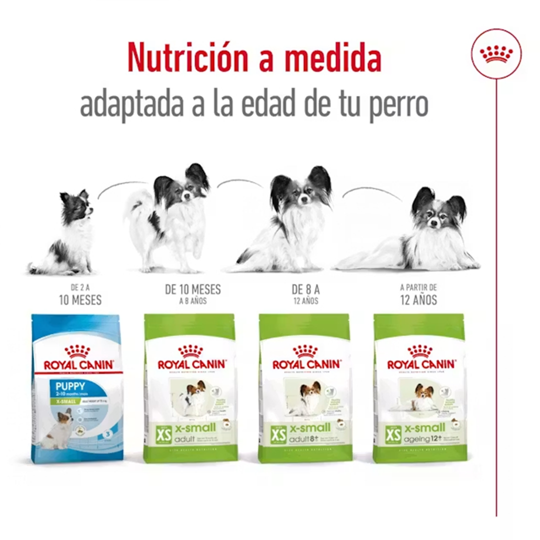 ROYAL CANIN X-SMALL ADULT 1,5KG - Imagen 7
