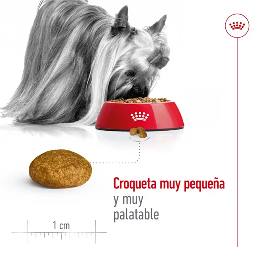 ROYAL CANIN X-SMALL ADULT 1,5KG - Imagen 4