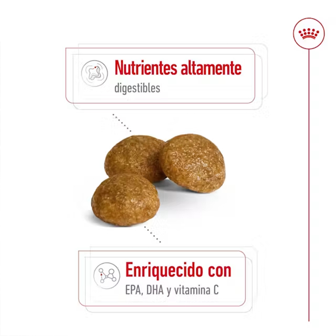 ROYAL CANIN X-SMALL ADULT 1,5KG - Imagen 3
