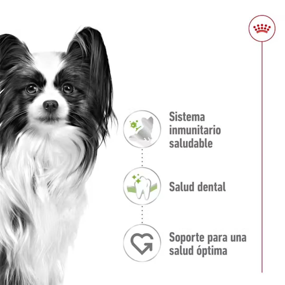 ROYAL CANIN X-SMALL ADULT 1,5KG - Imagen 5