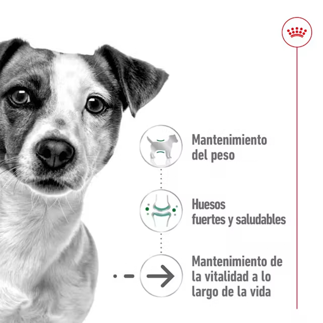 ROYAL CANIN SOBRE MINI AGEING DOG 85GR - Imagen 4