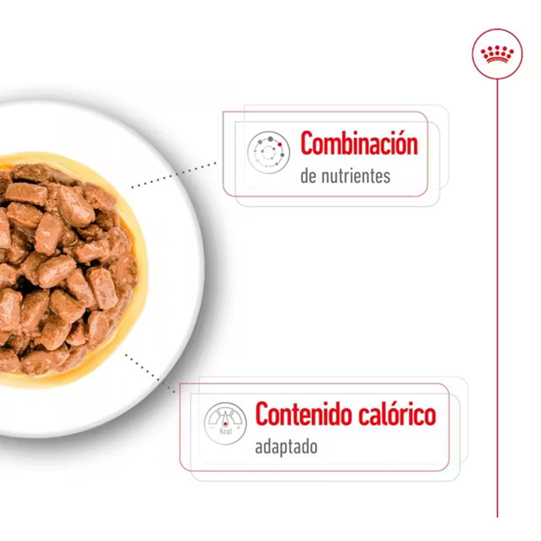 ROYAL CANIN SOBRE MINI AGEING DOG 85GR - Imagen 3