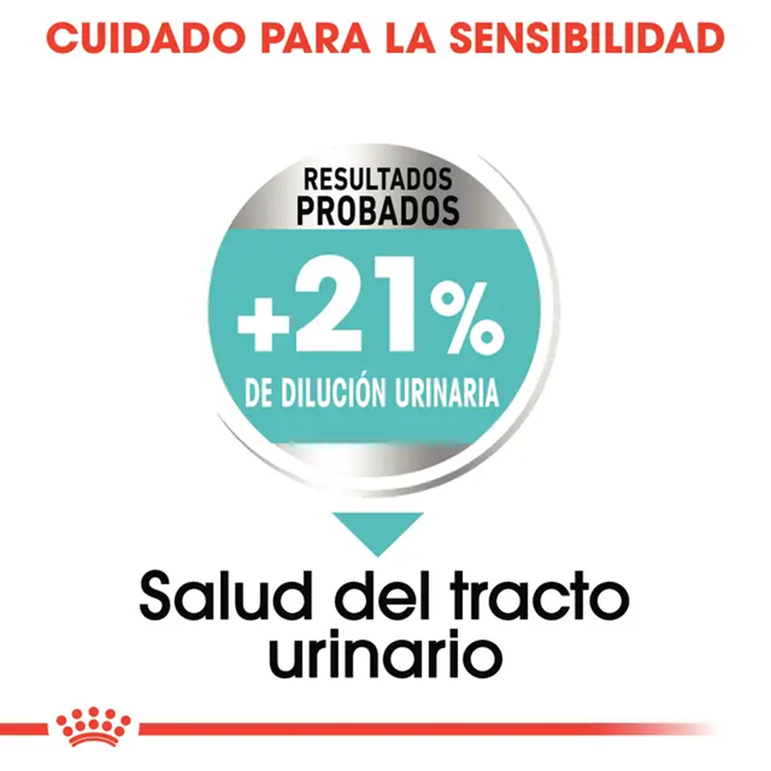 ROYAL CANIN MINI URINARY CARE 3KG - Imagen 4