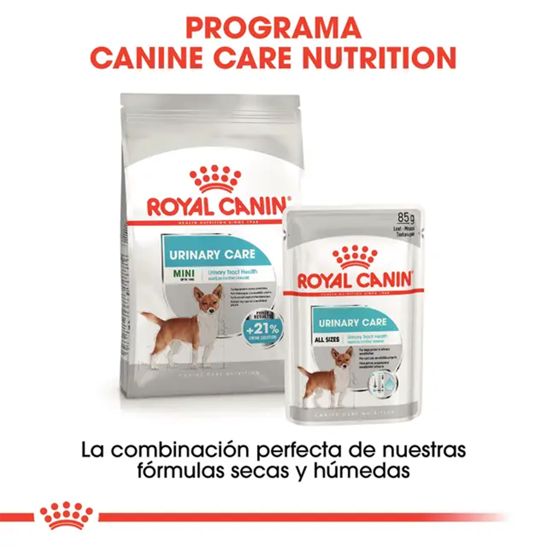 ROYAL CANIN MINI URINARY CARE 3KG - Imagen 3